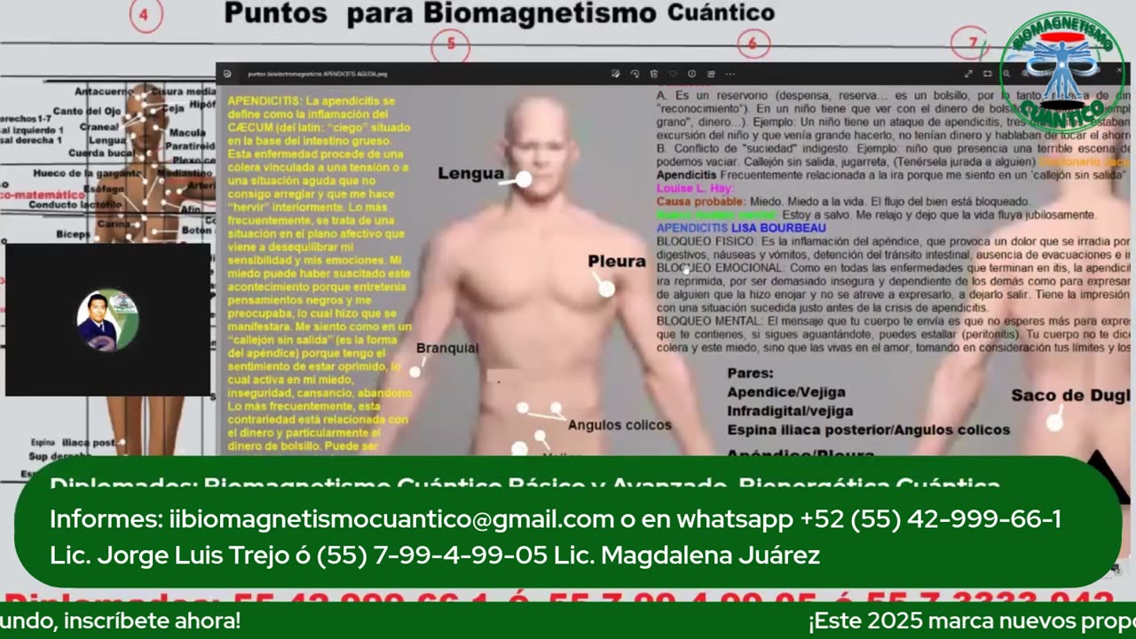 Biomagnetismo Cuántico para Apendicitis Aguda_ Un Enfoque Natural y Eficaz