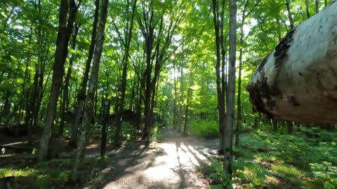 🌴2024 Hiking The Old Quarry Trails In Ottawa 🍁 Canada 🍂