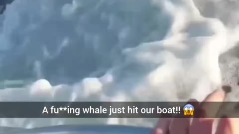 A group of fishermen had an unforgettable encounter when a whale suddenly leapt out of the water