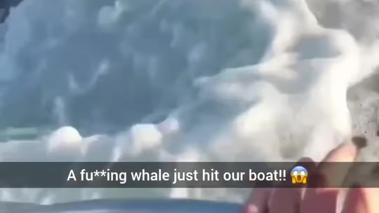 A group of fishermen had an unforgettable encounter when a whale suddenly leapt out of the water