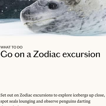 Antarctica Travel Guide