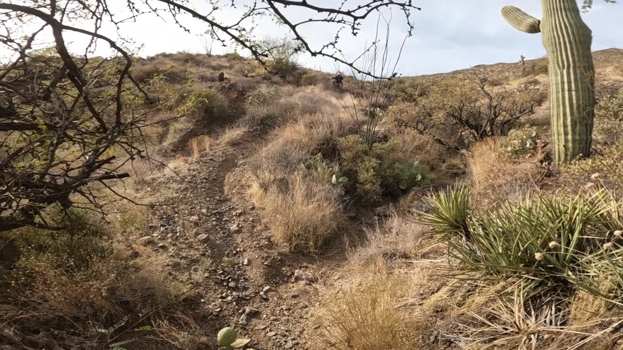 First motorcycle single track ride in Arizona after vacation, not riding is for the birds.