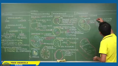 VONEX SEMIANUAL 2023 | Semana 06 | Biología S1