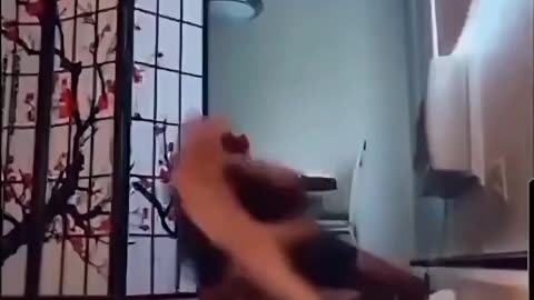 Rolling With The Punches! 🤣😳🤣 - Reloaded from WeirdShit2