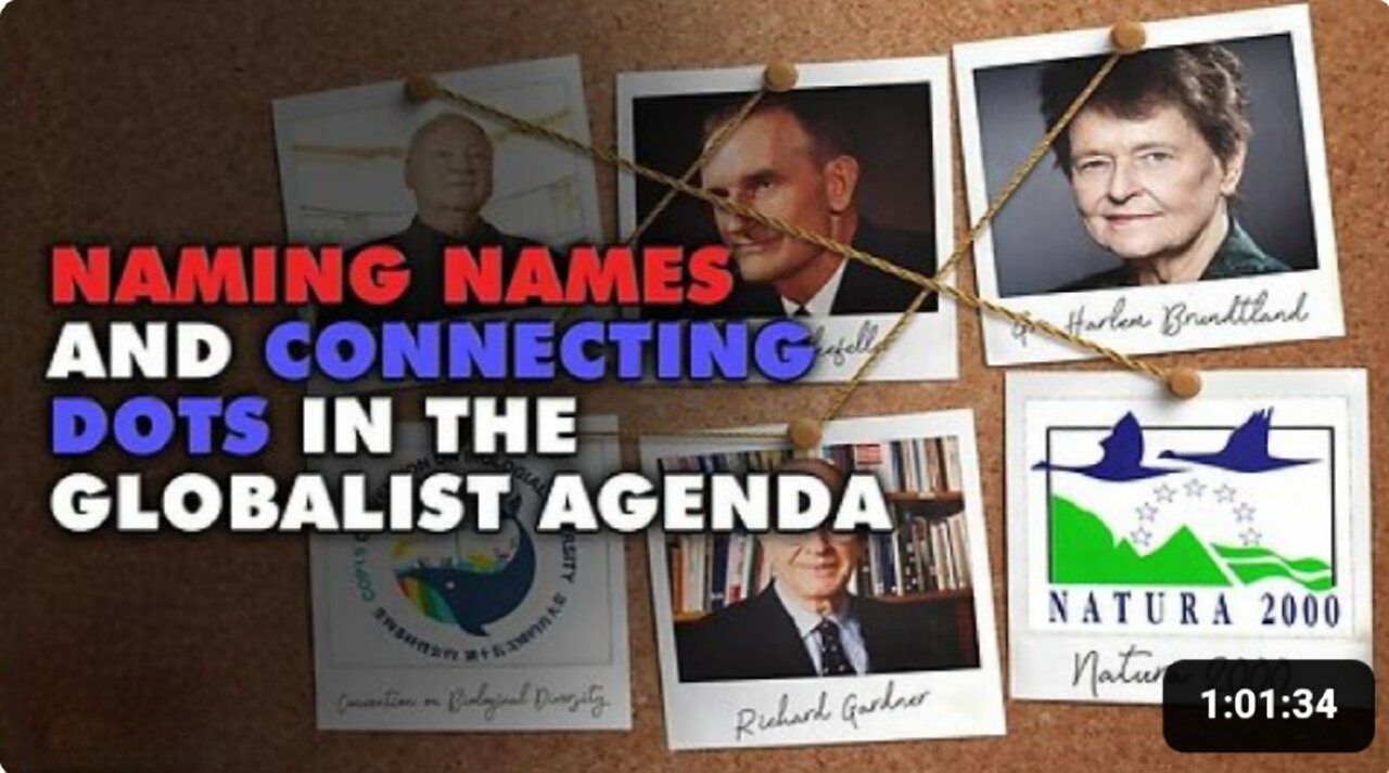 Who are the Globalist an what are their Agenda
