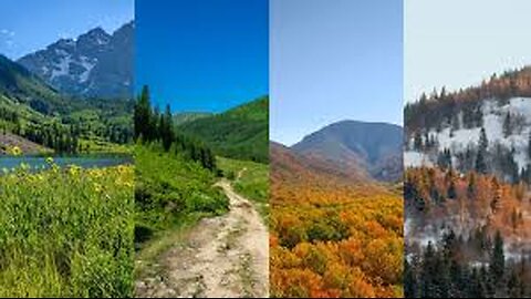 🚶2024🍁 Hiking 4 Different Trails In The Greenbelt Of Ottawa & Exploring The Nature In Every Season 💦 Canada 🍀🍃