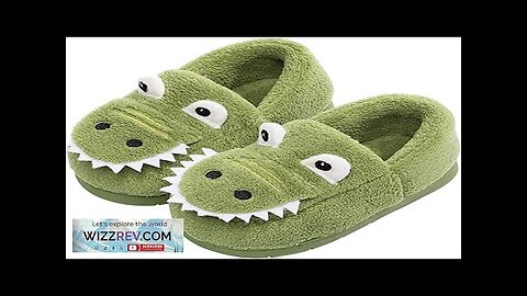 JACKSHIBO Girls Boys Home Slippers Warm Dinosaur House Slippers for Toddler Fur Review