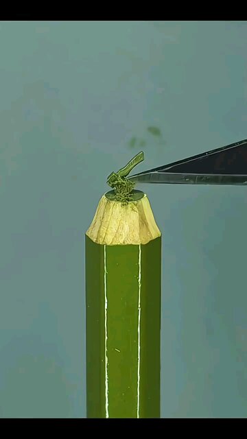 Entertainment Art #art #entertainment