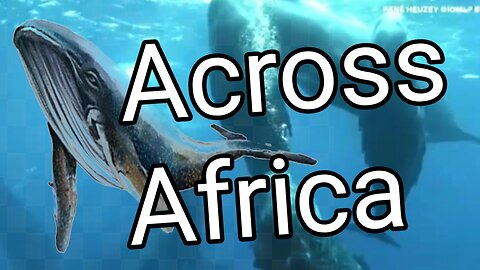 Across Africa news