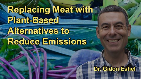 How Individual Dietary Choices Can Significantly Reduce Emissions: Focusing on Replacing Meat