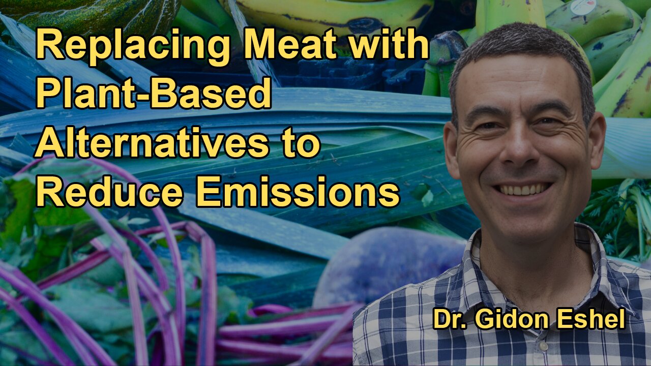 How Individual Dietary Choices Can Significantly Reduce Emissions: Focusing on Replacing Meat