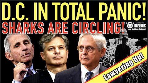 D.C. IN TOTAL PANIC! Sharks Are Circling… Lawyering Up!