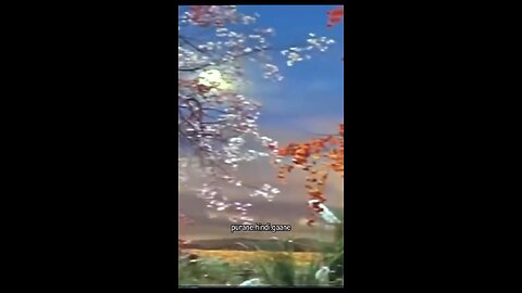 Na Jhatko Zulf Se Paani