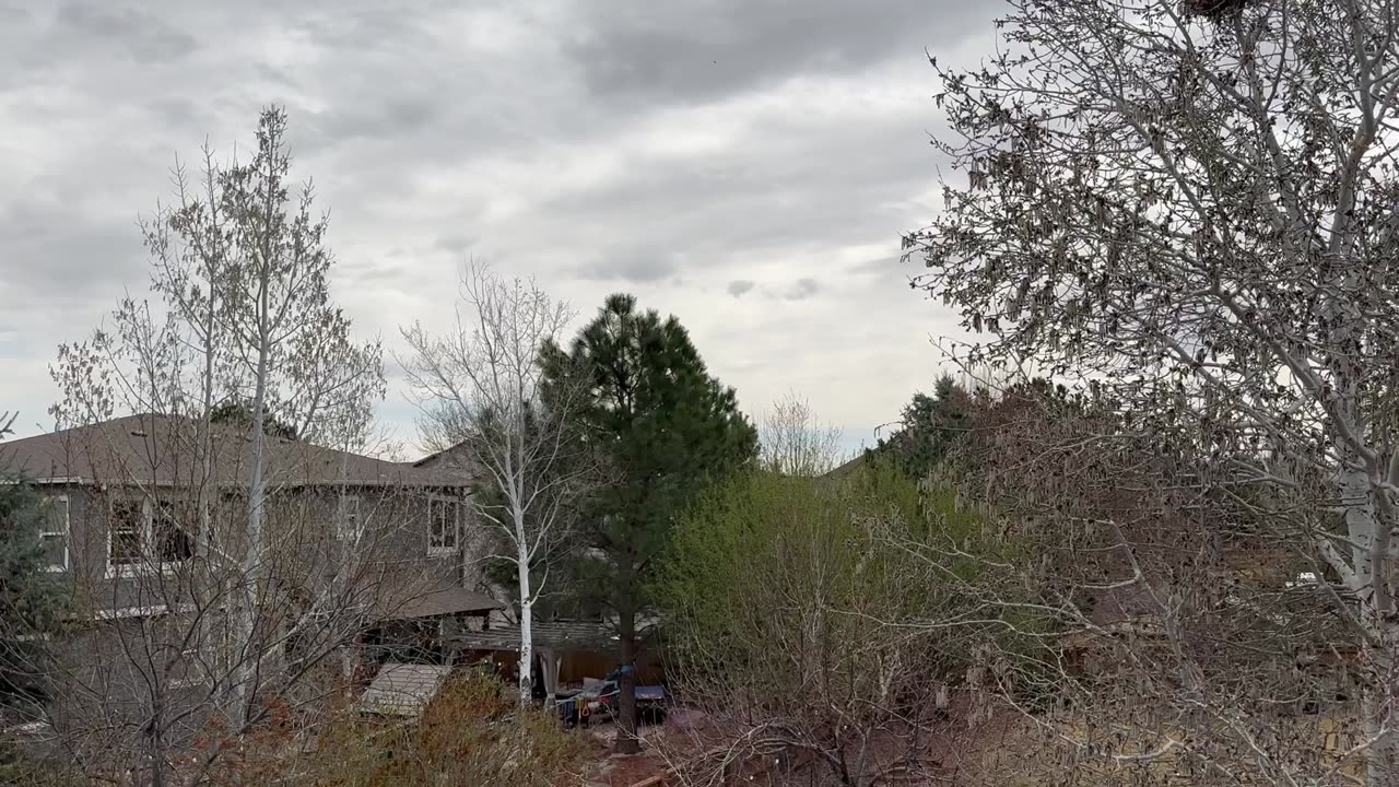What a nice day outside