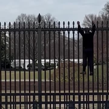 Man caught in 4K climbing the WHITE HOUSEfence