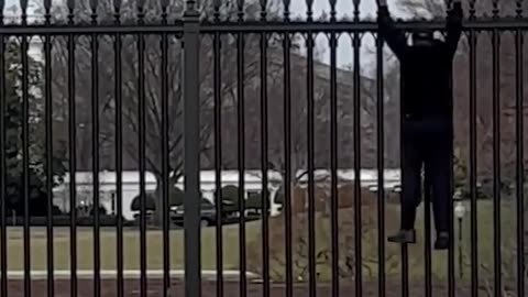 Man caught in 4K climbing the WHITE HOUSEfence