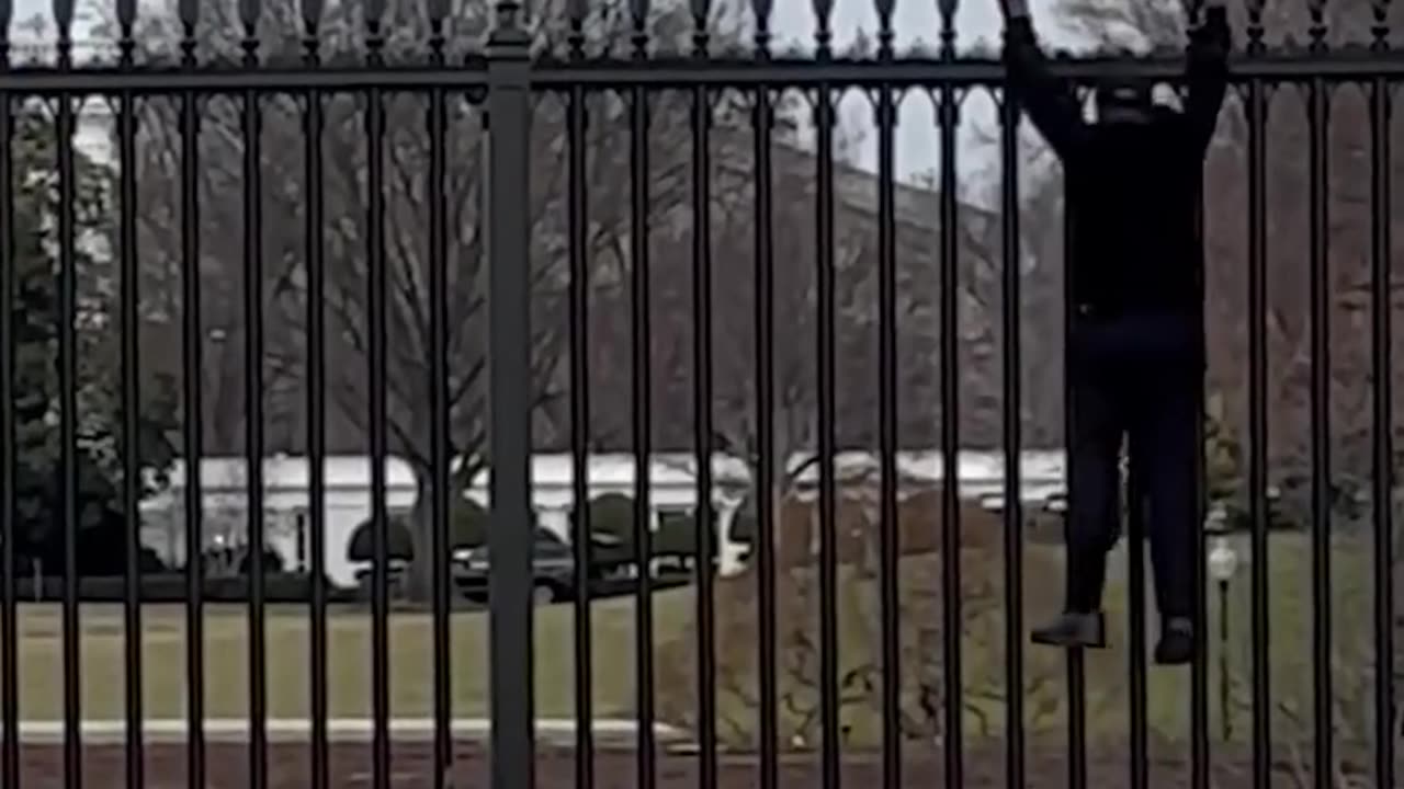 Man caught in 4K climbing the WHITE HOUSEfence