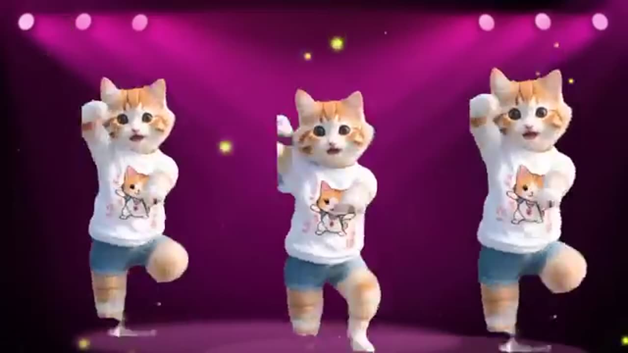 Cute dance moments of cat #child #cat