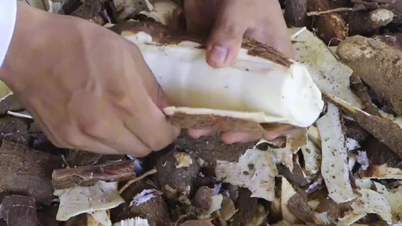 Steamed Cassava Cake