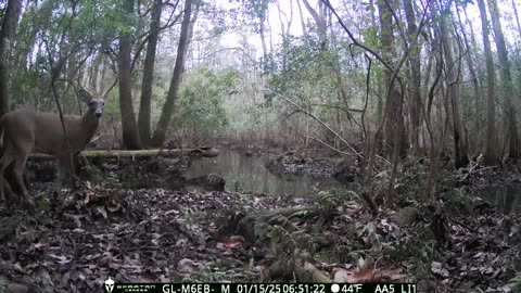 Arctic Snow Storm Creates Big Problems at the 5 Acre Pond!