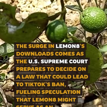 Lemon8 Rises as TikTok Faces Potential Ban