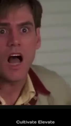 NPC's - Cultivate Elevate