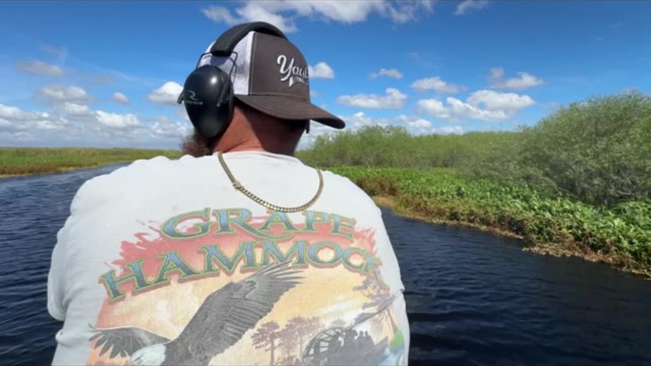 Air boat bees