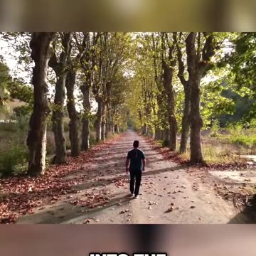 Journey into the Enchanted Redwoods_ Hidden Pathways