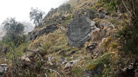 A walk above Uspha Qocha (Ampay Sanctuary, Abancay, Peru)