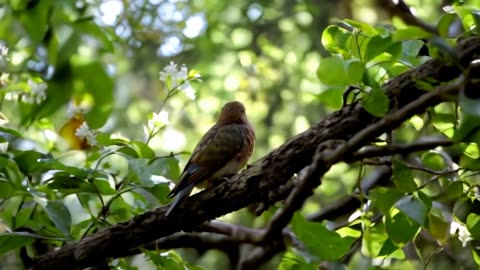 A Bird on a tree branch.