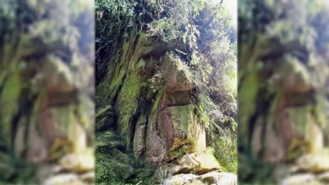 👀 Gigantic Ancient Face Found Deep In Jungle 👀