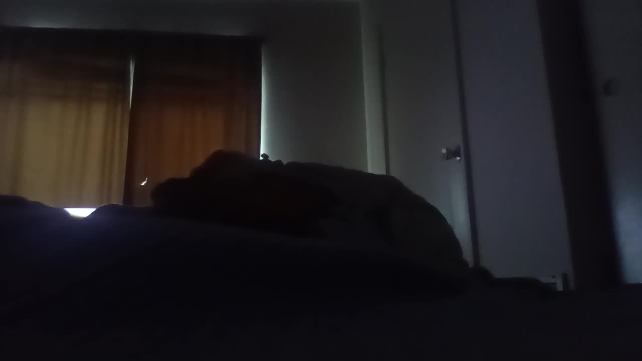 Elijah Pretends As An Rapper R Kelly Prank on Dylan (MUST WATCH OF 2024)