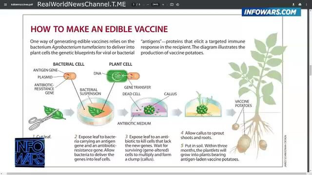 Tom Renz: It’s Confirmed They’re Vaccinating Us With mRNA Through The Food Tom Renz joins host Owen