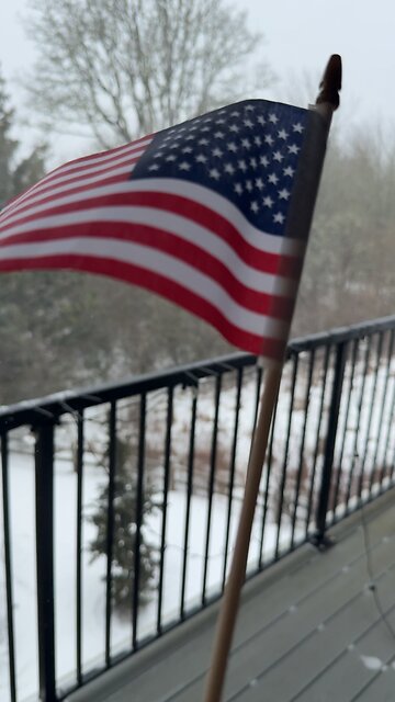 Snow and American Flag🇺🇸