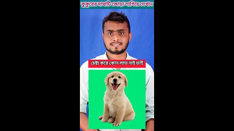কুকুরের মাথা ঠিক গলা দিয়ে দেখান #shorts #viral#videos #puzzle #challenging