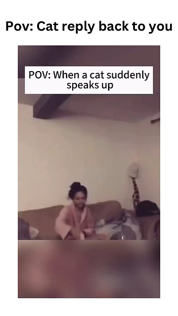 POV: When your cat finally replies to you like they totally understand😼🎙️Conversations #talkingcat