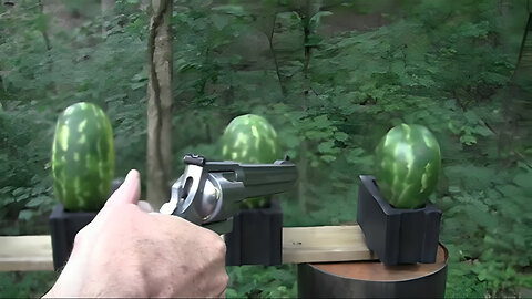 500 Magnum vs Watermelons