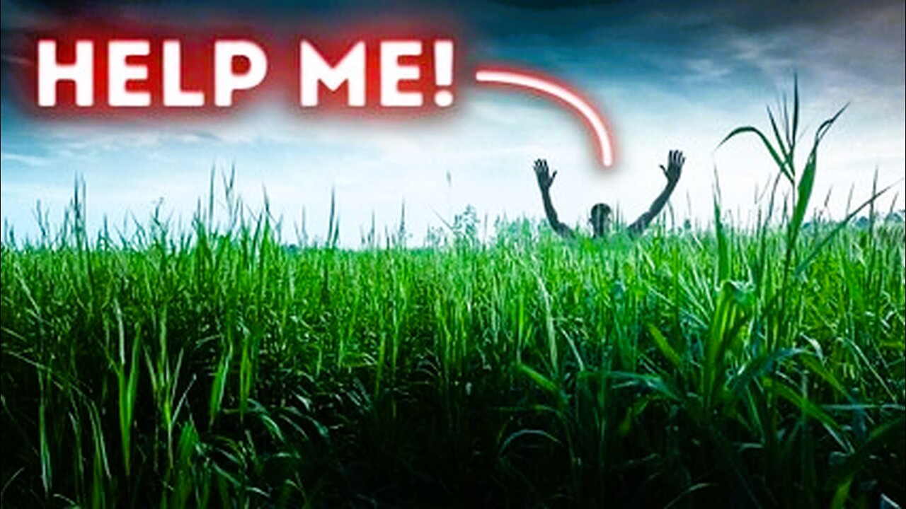 A Man Vanished in Daylight - What Happened in That Field?