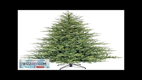 Puleo International 7.5 Foot ft Pre Alberta Spruce Artificial Christmas Tree Review