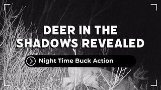 Night Time Buck Action