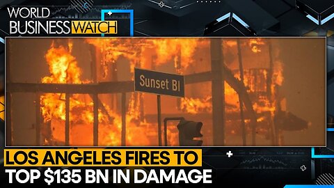 Significant Economic Loss From LA Fires | World Business Watch | WION