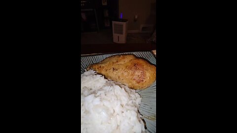 Eating Tyson Boneless Skinless Chicken Breasts, 1/6/25