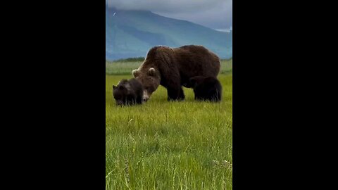 "Beer and Children Eating Grass: A Unique Look at Unusual Habits