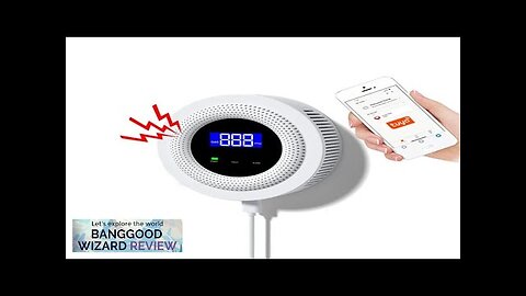 Wifi Natural Gas Leak Detector Alarm Security Protection Smart Home 433MHz Wireless Review