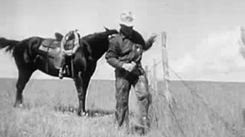 Home on the Range