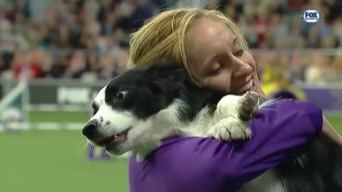 P!nk the border collie wins back-to-back titles at the 2019 WKC Masters Agility