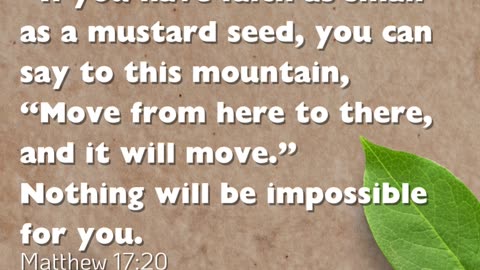 Mustard seed faith