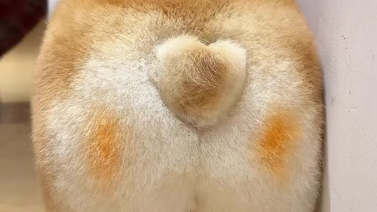 Delicious little butt