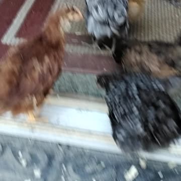 Field trip in November 2021