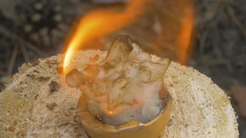 Great Lifehack for survival